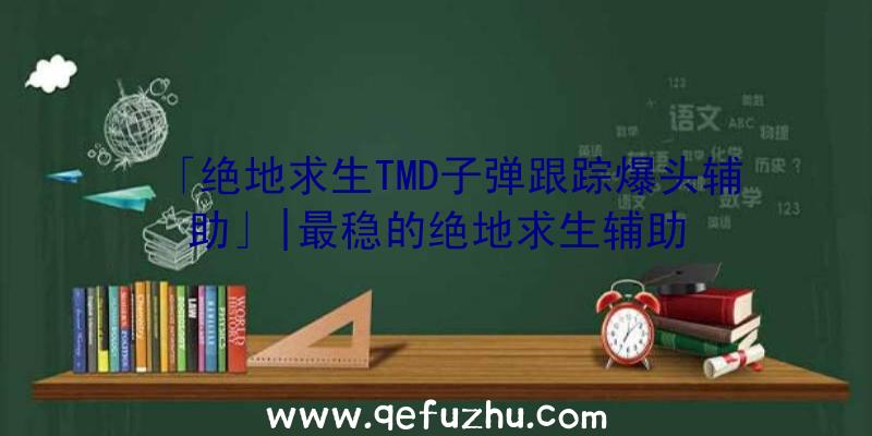 「绝地求生TMD子弹跟踪爆头辅助」|最稳的绝地求生辅助